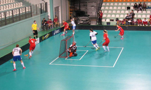 Slovensko bolo blízko senzácie! Podľahli sme po výbornom výkone tesne Česku.